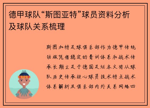 德甲球队“斯图亚特”球员资料分析及球队关系梳理